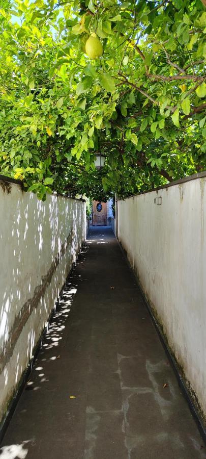 דירות טורה אנונציאטה Casa Teresinella Garden מראה חיצוני תמונה