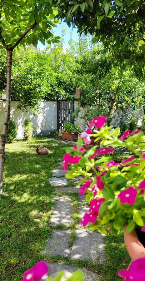 דירות טורה אנונציאטה Casa Teresinella Garden מראה חיצוני תמונה